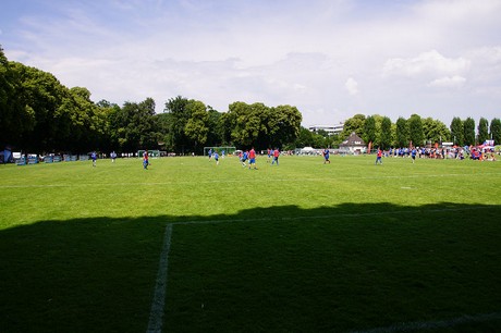 Com Together Cup